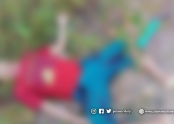 PH to fight for EEZ, says Nograles