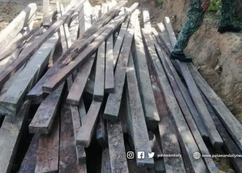 1,500 board feet ng kahoy, nakumpiska sa El Nido