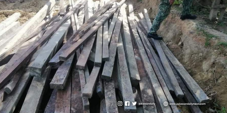 1,500 board feet ng kahoy, nakumpiska sa El Nido