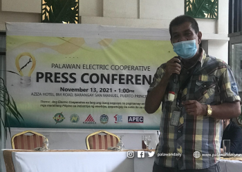 PALECO: Privatization will not solve blackouts in Palawan