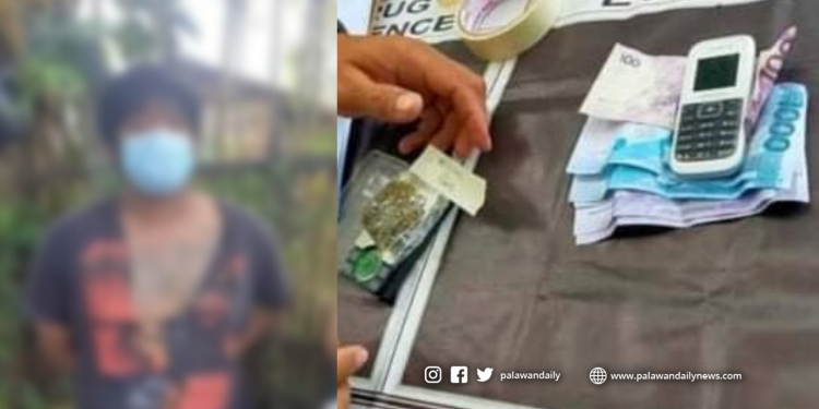 Estudyante, huli sa buy bust operation ng PNP sa Puerto Princesa