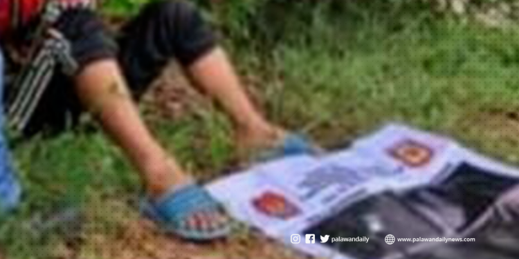 Drug suspect, arestado sa buy-bust operation sa Puerto Princesa