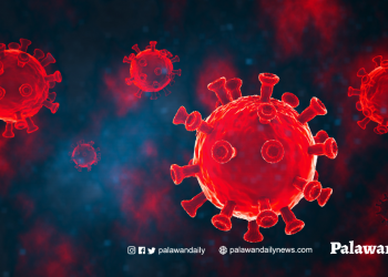 City IMT believes Omicron is 90% present in Puerto Princesa