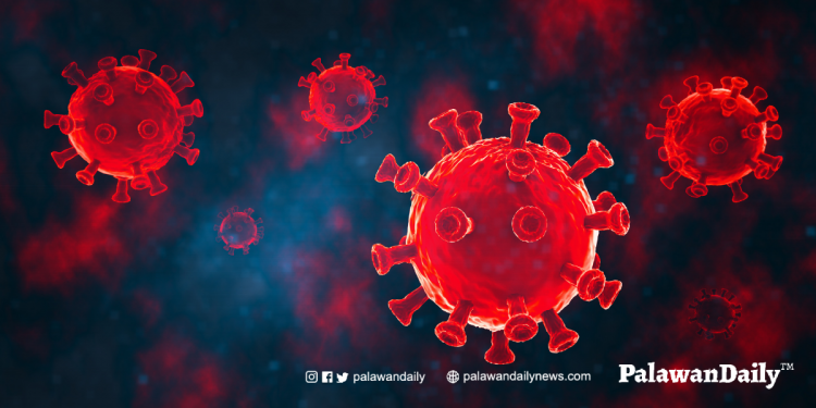 City IMT believes Omicron is 90% present in Puerto Princesa