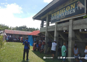 Alkalde sa Romblon at 200 indibiduwal, arestado dahil sa sabong