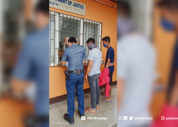 Pulis na nagtangkang magnakaw, pansamantalang lumaya
