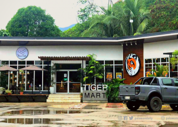 The Hive Café: the cup of southern brew