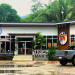 The Hive Café: the cup of southern brew