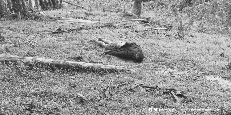 PPO at PPCPO, naglabas ng ulat sa mga lumabag sa ‘Election Gun Ban’