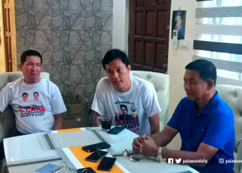 1-Care party list, tututukan ang sektor ng enerhiya sa Palawan