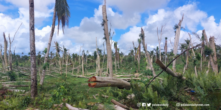 U.S. Provides Php17.5 Million to Support Ecosystem and Community Recovery After Typhoon Odette