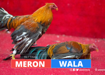 E-sabong operations may lead to arrests, DILG warns  