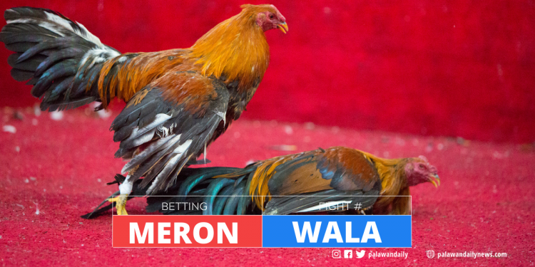 E-sabong operations may lead to arrests, DILG warns  