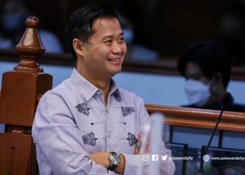 Sen. Gatchalian suggests work-from-home setup to save fuel, lessen transport costs