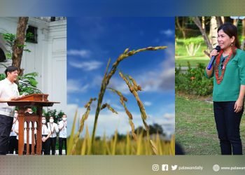 Bise Alkalde Mary Jean Feliciano ng Brooke’s Point, Palawan, may nais mapakinggan sa SONA ng Pangulong Marcos