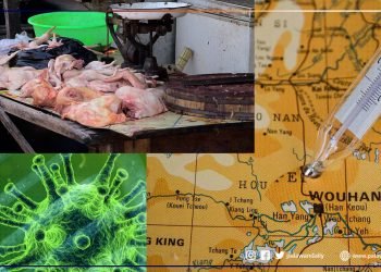 Recent studies show animals sold at Wuhan ‘might have what started’ COVID-19 pandemic