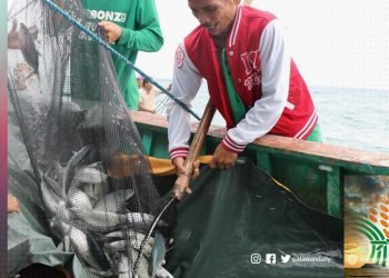 DA BFAR-MIMAROPA Pushes Aquaculture