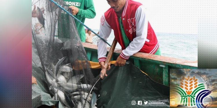 DA BFAR-MIMAROPA Pushes Aquaculture