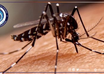 Dengue cases sa 5 barangay sa Puerto Princesa, dumadami