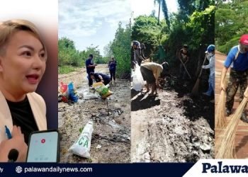 Tamang kalinisan- dengue ay maiiwasan