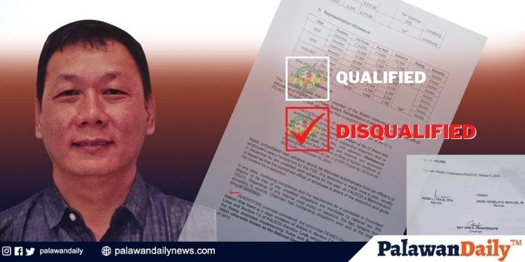 PALECO Board Chair Endriga, diskwalipikado nang kumandidato