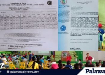 Panukalang ordinansa sa pamasahe sa traysikel sa bayan ng Narra, pinag- uusapan na