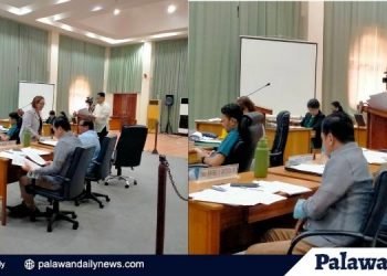 Paghimok ng DILG sa mga LGU para sa malaganap na bakuna kontra Covid, hiniling ng Provincial Board