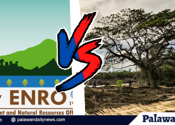 City ENRO warns public vs. Sitio Bucana lots for sale