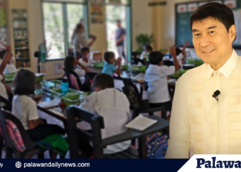 Sen. Tulfo: DepEd Intel Funds, gagamitin pamproteksyon sa mga estudyante