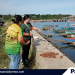 City ENRO intensifies bioremediation of coastal waters through EM mudballs