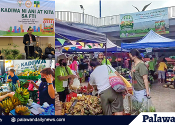 Pagbabalik ng Kadiwa centers, aprobado sa mga magsasaka at mangingisda ng Palawan