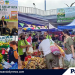 Pagbabalik ng Kadiwa centers, aprobado sa mga magsasaka at mangingisda ng Palawan