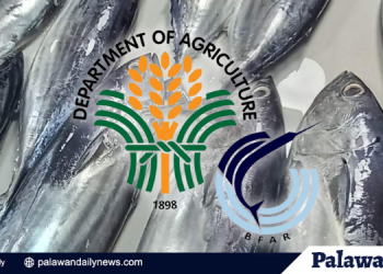 BFAR MiMaRoPa, sinigurong sapat ang suplay ng isda ngayong kapaskuhan