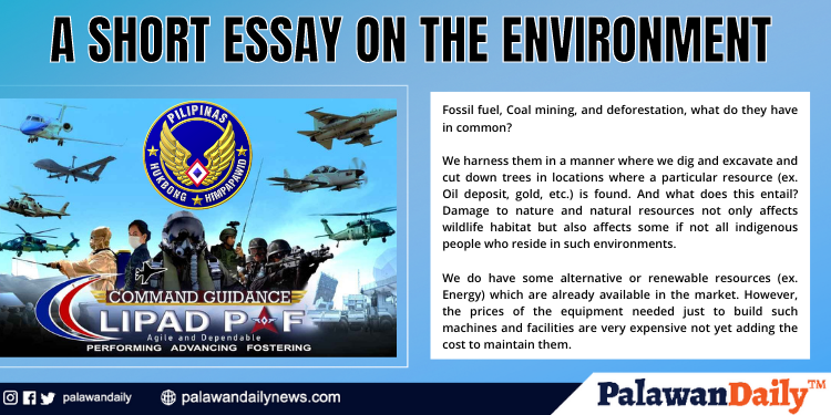 A Short Essay on the Environment