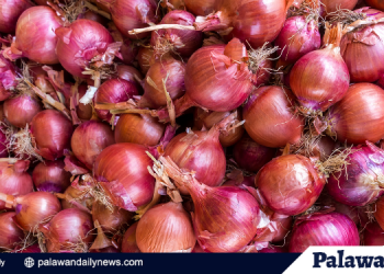 Kartel, dahilan ng pagtaas ng presyo ng sibuyas