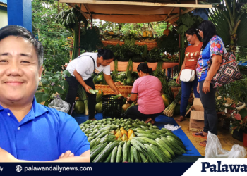 Tabuan sa Barangay, patuloy na isinusulong sa iba’t- ibang Barangay ng siyudad ng Puerto Princesa