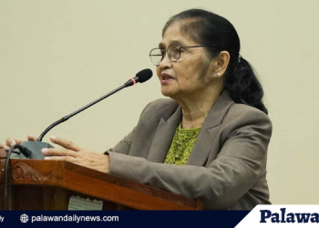 Sangguniang Panlalawigan, binigyan pahintulot na manatili muna sa pwesto si Seguritan habang wala pang bagong IPMR