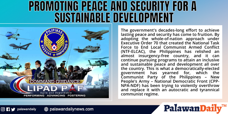 Promoting peace and security for a sustainable development