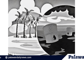 Our coastal ecosystem needs natural recovery after an oil spill