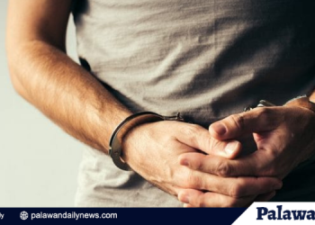 Palawan legislature seeks PBBM approval to declare August 25 as a special non-working holiday in the province