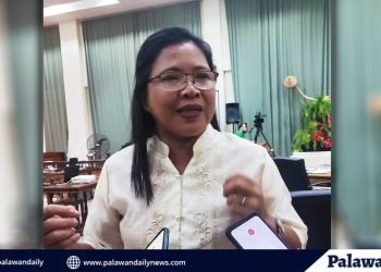 Master plan para sa pagpapalawig ng turismo sa Palawan, isinusulong ni BM Rosento