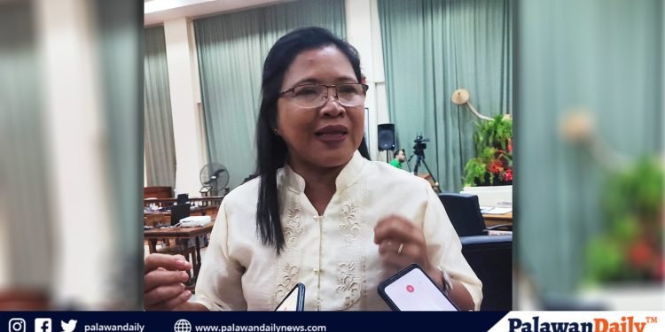 Master plan para sa pagpapalawig ng turismo sa Palawan, isinusulong ni BM Rosento