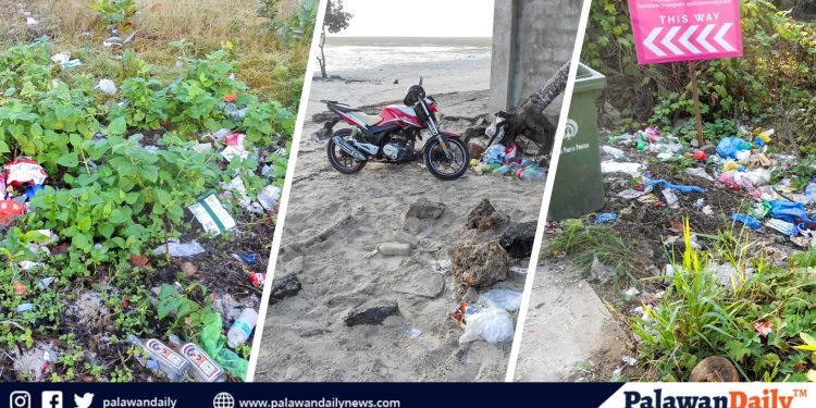 Foreigners Eye View: The alarming issue of improper waste disposal in Puerto Princesa