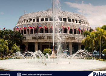 Nagkaroon ng mahalagang talakayan ang Sangguniang Panlalawigan ng Palawan sa naganap na regular session ngayong araw ng Martes, Mayo 16, kaugnay sa patuloy na problemang brownout na kalimitang nangyayari sa buong probinsya.