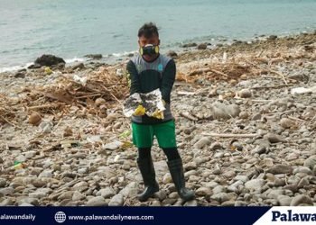 BFAR urges renewed fishing ban in Oriental Mindoro as effects of oil spill persist
