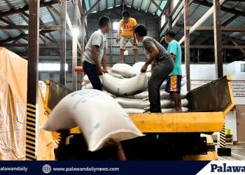 Demonstrating their commitment to community welfare and preparedness, the Palawan Provincial Government through the Provincial Social Welfare and Development Office (PSWDO) has taken proactive measures to safeguard residents in the face of potential storms or disasters. 