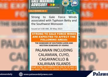 PAGASA issues gale to strong winds warning in Palawan as Typhoon Betty’s SW Monsoon hits the region