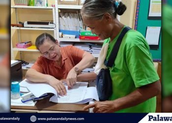 The Palawan government has provided aid to vulnerable members of the community in Coron by disbursing local social pensions to 197 senior citizens and 53 persons with disabilities (PWDs) on May 3-6.