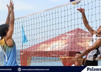 In a thrilling showcase of athleticism and teamwork, the 1st SPS Summer Volleyball Tournament concluded with an exhilarating grand finale, leaving the audience and participants on the edge of their seats.