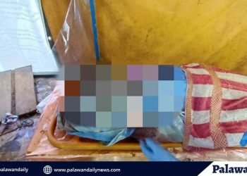 Umano’y buntis na ginang, patay nang barilin ng sarili nitong mister sa Aborlan